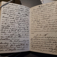 ABP Box 4 5, diary 1876. Joys of Spinsterhood and Privacy.pdf